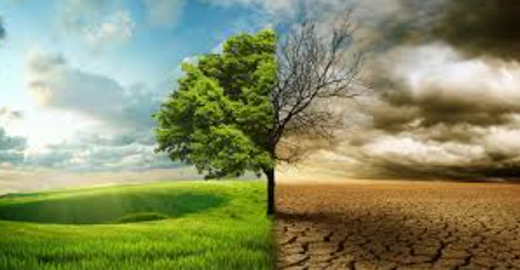 How Technology Helps Fight Climate Change